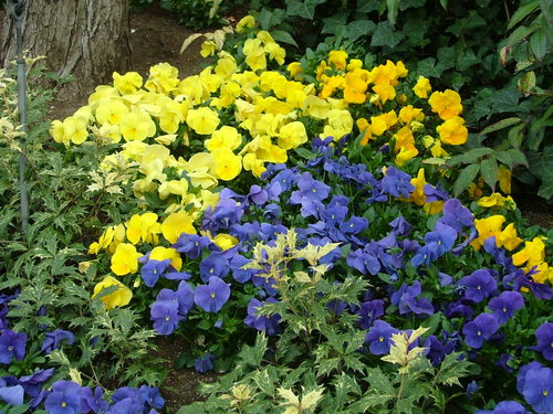 01april06_020